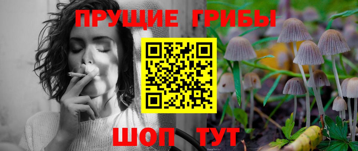 Каменск-Шахтинский  Псилоцибиновые грибы GOLDEN TEACHER  Вход с VPN 